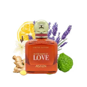 IN THE NAME OF LOVE ASTEN