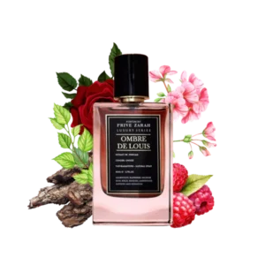 OMBRE DE LOUIS PRIVEZARAH