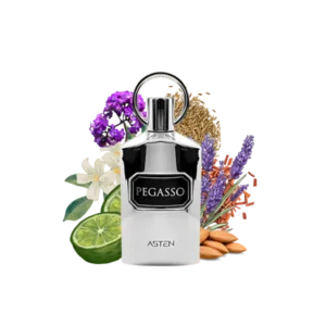 PEGASSO ASTEN